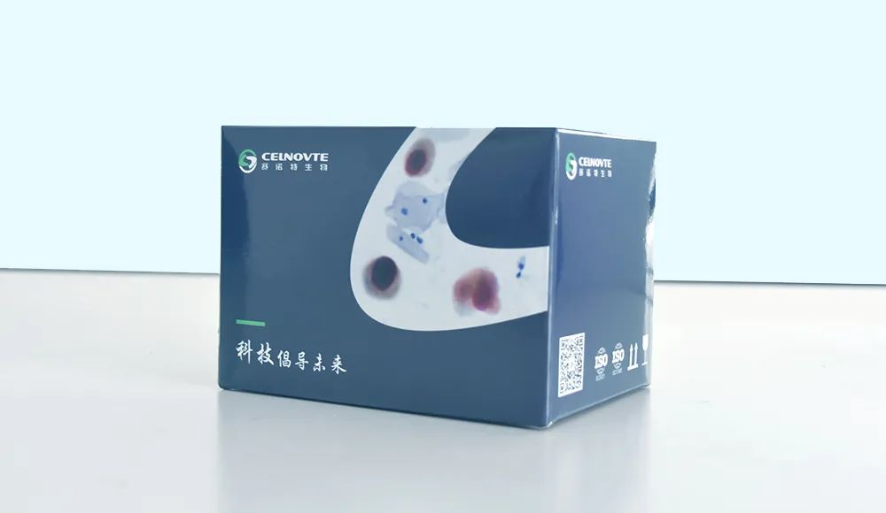 The P16/Ki-67 Dual Staining Detection Kit by Celnovte is a highly advanced diagnostic tool used for the detection of p16 and Ki67 biomarkers on cells or tissue samples.