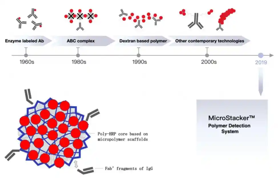 HRP-Polymer Detection Kit