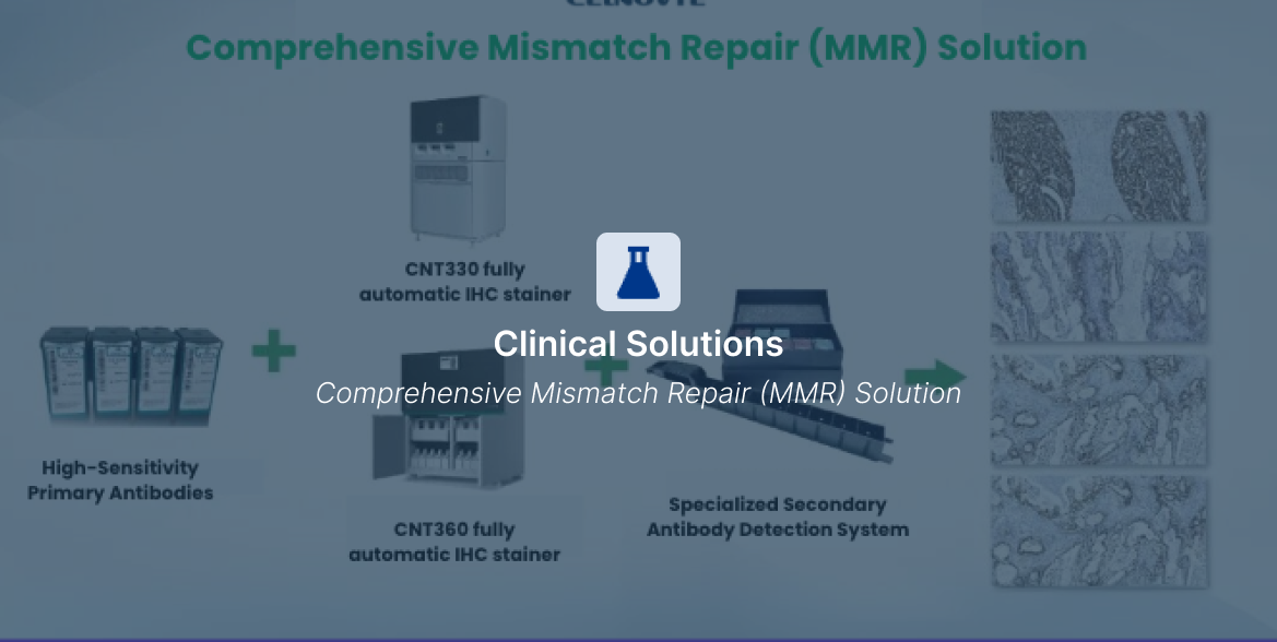 Comprehensive Mismatch Repair (MMR) Solution