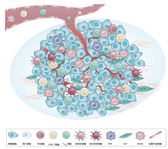 Boost Research Efficiency with the mIHC Kit